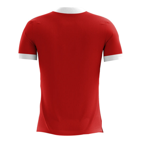 2022-2023 Peru Away Concept Football Shirt_1
