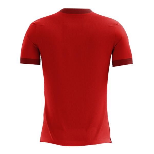 2022-2023 Egypt Home Concept Football Shirt (Kids)_1