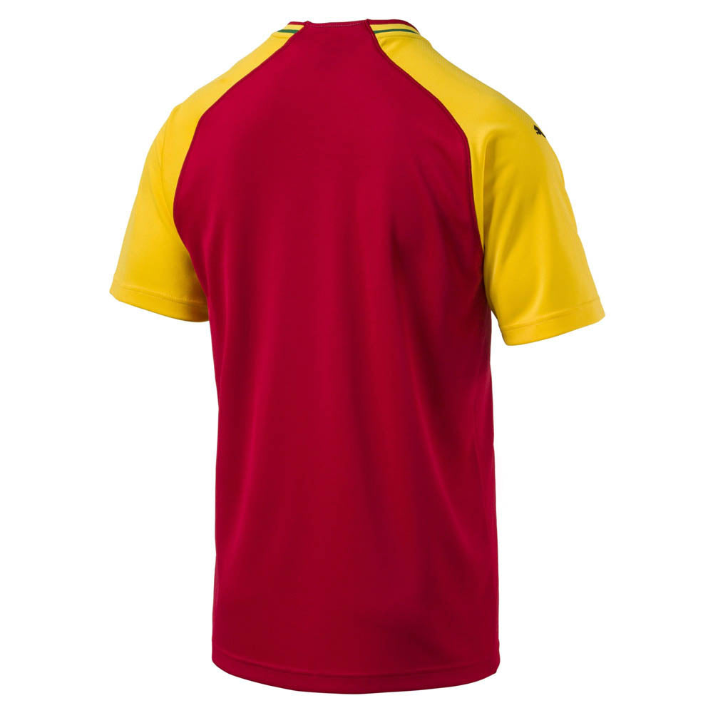 2018-2019 Ghana Home Puma Football Shirt (XXL) (BNWT)_1