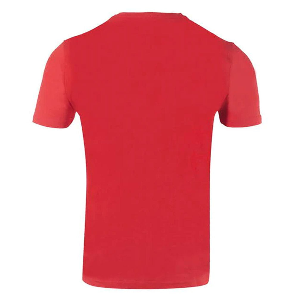 Wales 2021 Polyester T-Shirt (Red)_1