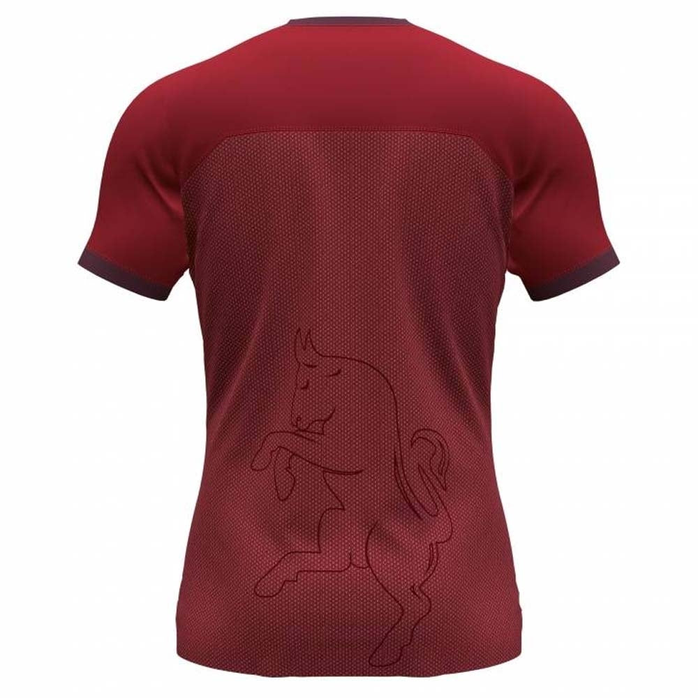 2021-2022 Torino Training Shirt (Burgundy)_0
