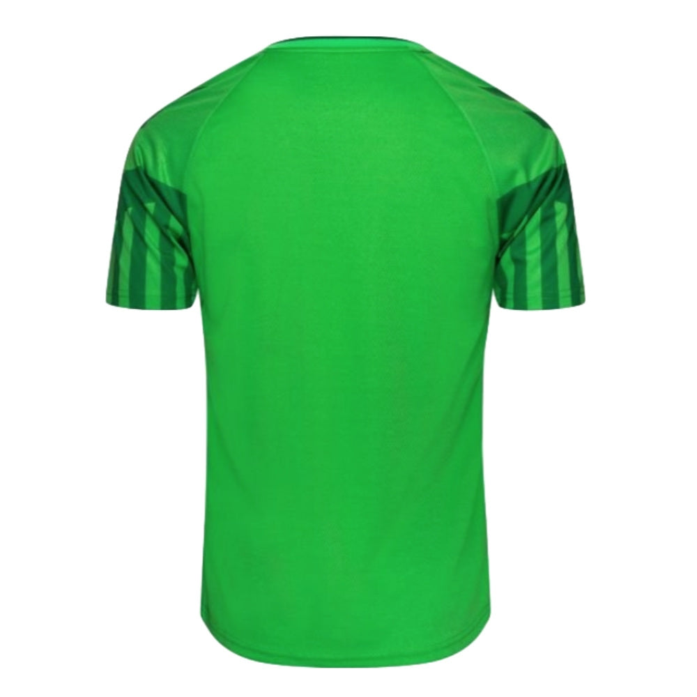 2022-2023 Denmark Home Goalkeeper Jersey (Green)_1