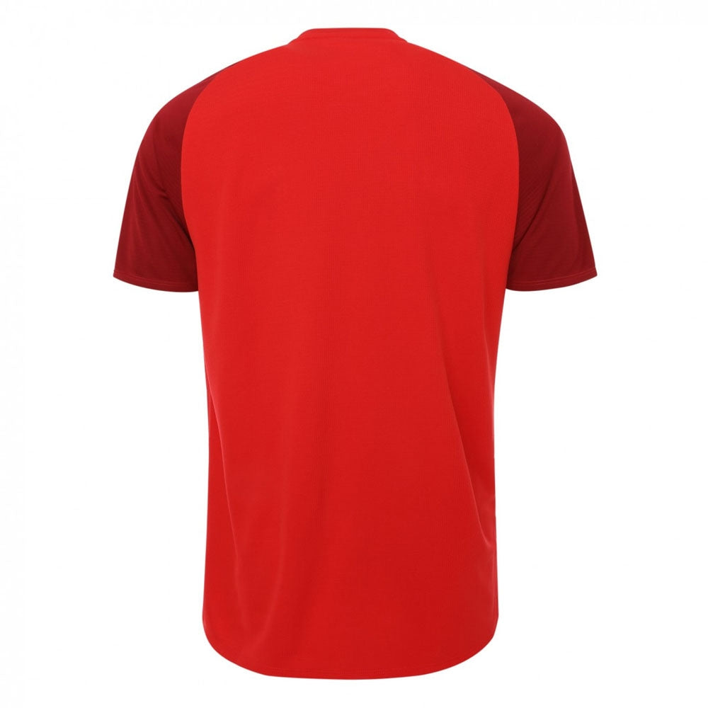 2018-2019 Liverpool Elite Training Jersey (Red)_1