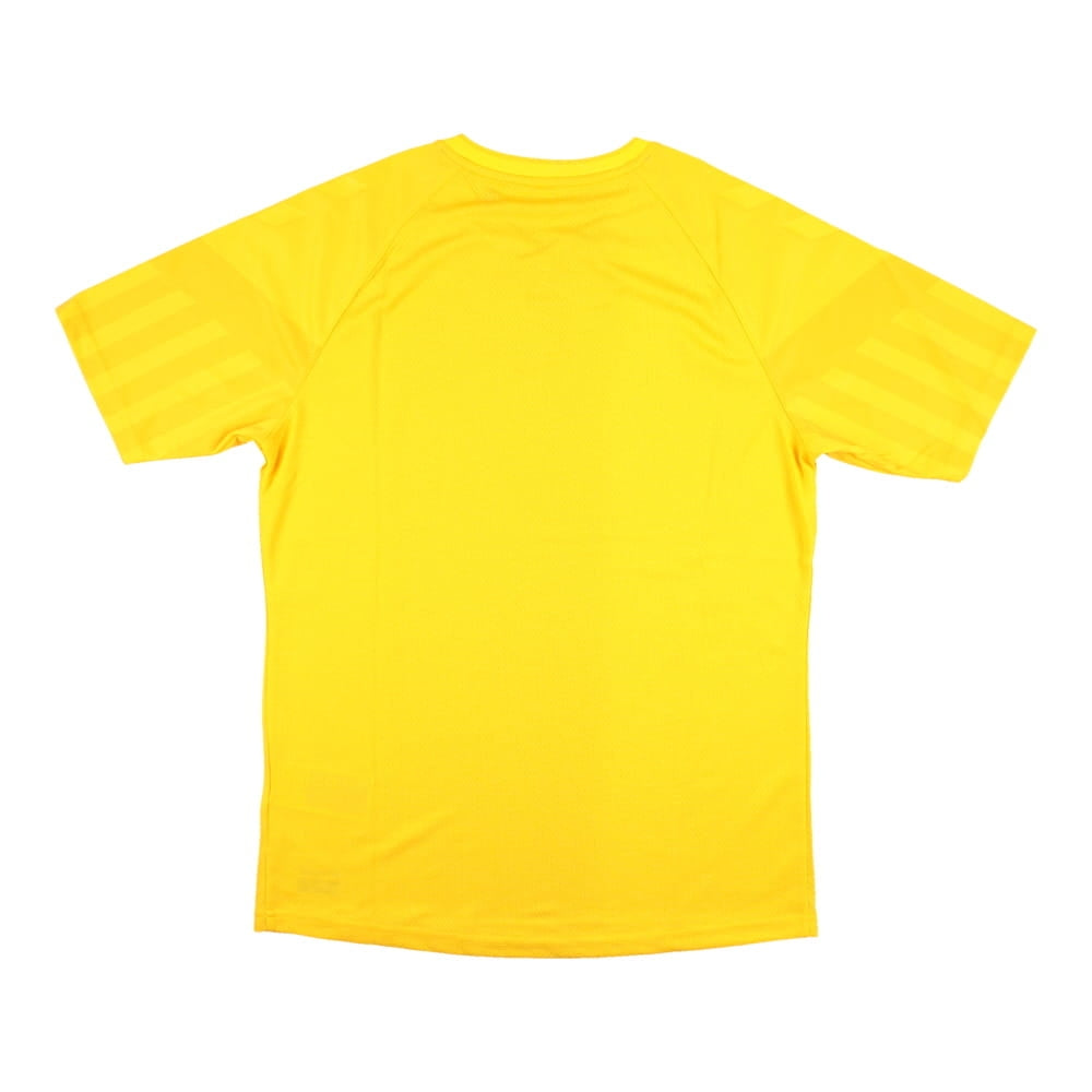 2022-2023 Denmark Away Goalkeeper Jersey (Yellow)_1