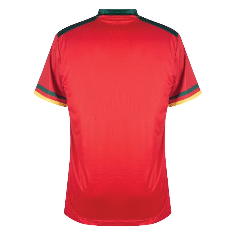 2022-2023 Cameroon Third Pro Football Shirt_1