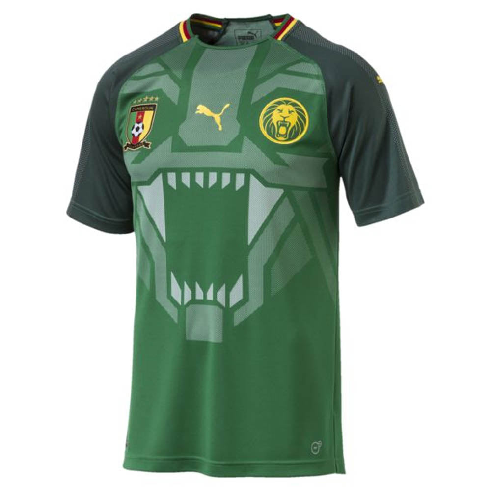 Cameroon 2018-19 Home Shirt (L) (BNWT)_0