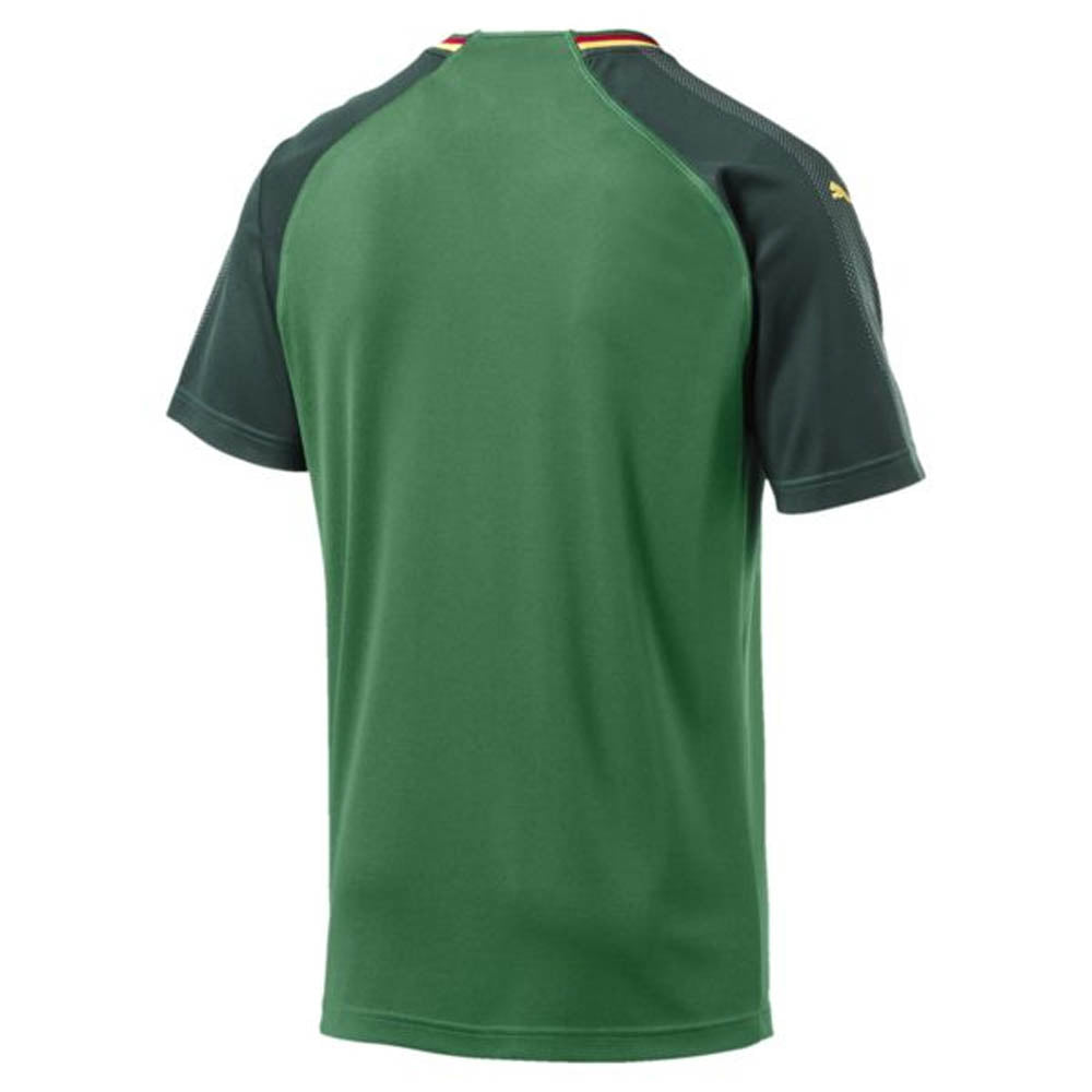 Cameroon 2018-19 Home Shirt (L) (BNWT)_1