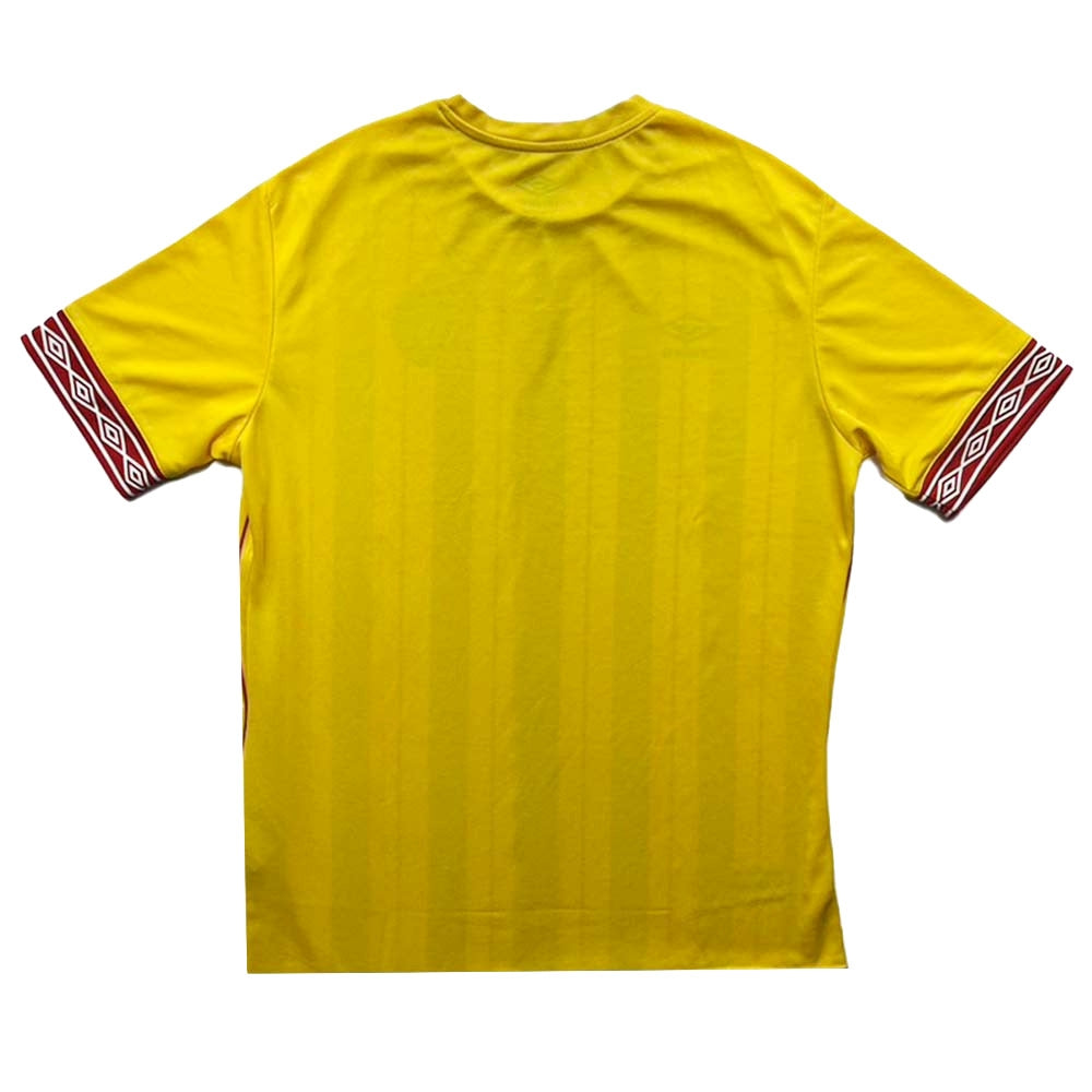Zimbabwe 2019 Away Limited Addition AFCON Shirt ((Excellent) L)_0